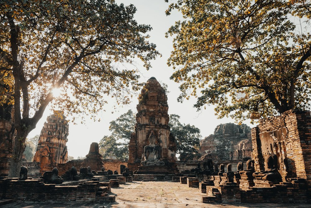 วัดมหาธาตุ อยุธยา