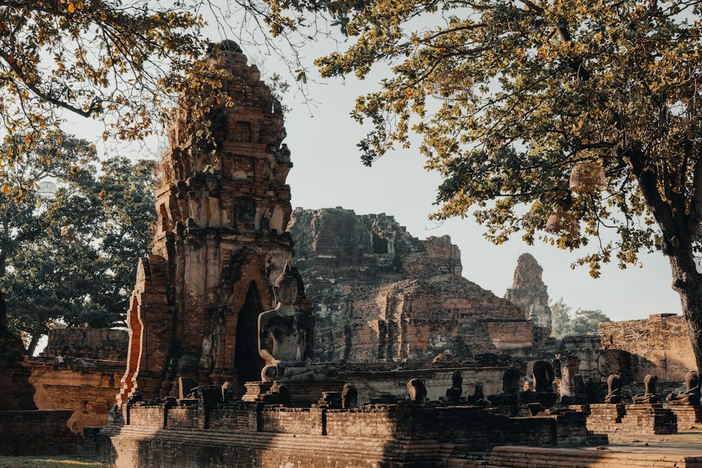 วัดมหาธาตุ อยุธยา