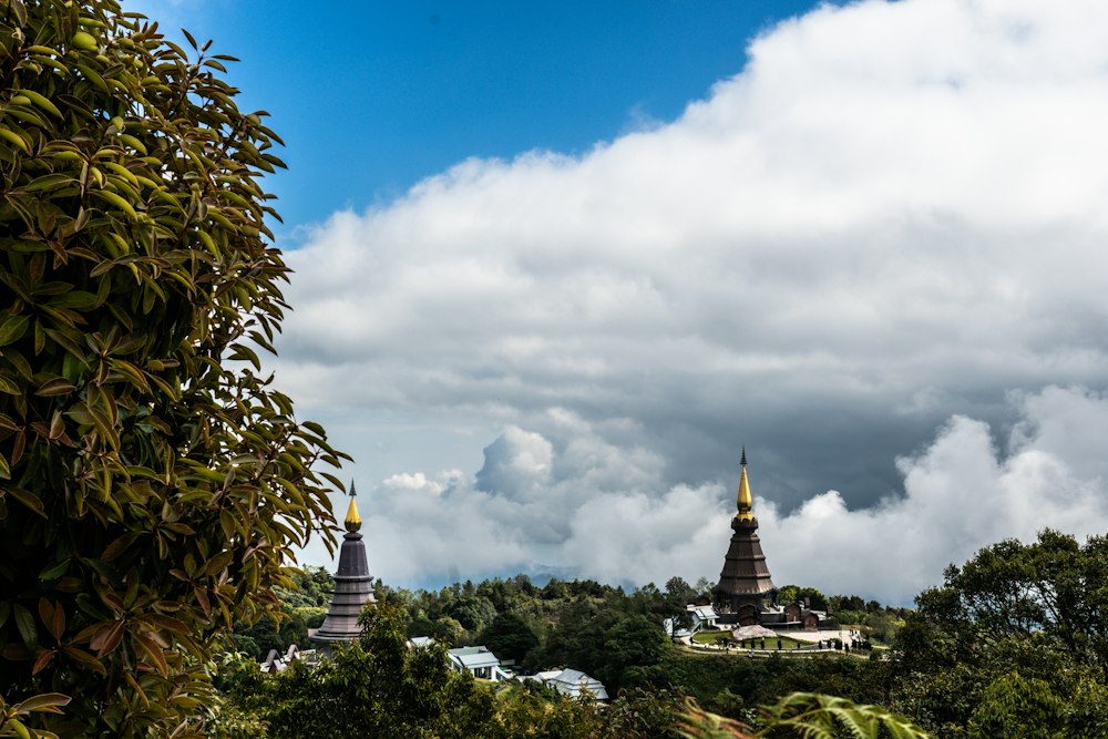 เชียงใหม่